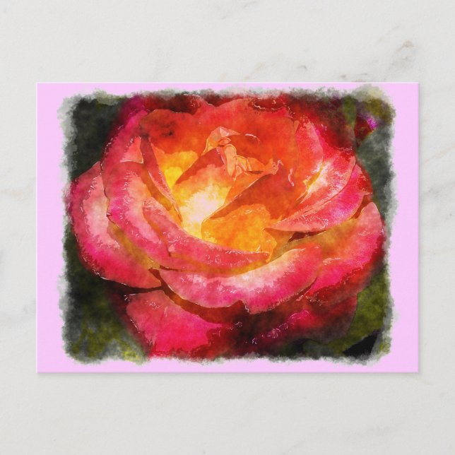 Rose Postkarte (Vorderseite)