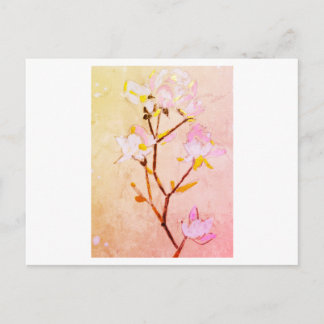 Rose Postkarte