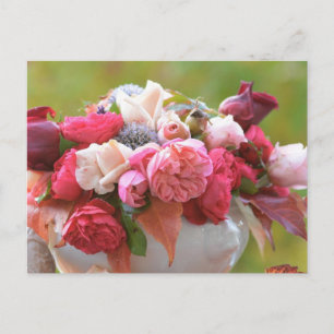 Rose Postkarte