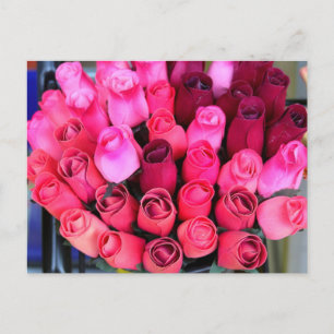 Rose-Postkarte Postkarte