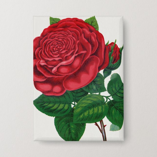 Rose Print Rochester Lithographing and Printing Co Button (Vorderseite)