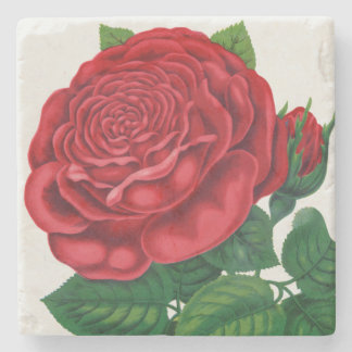 Rose Print Rochester Lithographing and Printing Co Steinuntersetzer