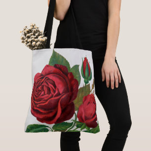 Rose Print Rochester Lithographing und Druckerei