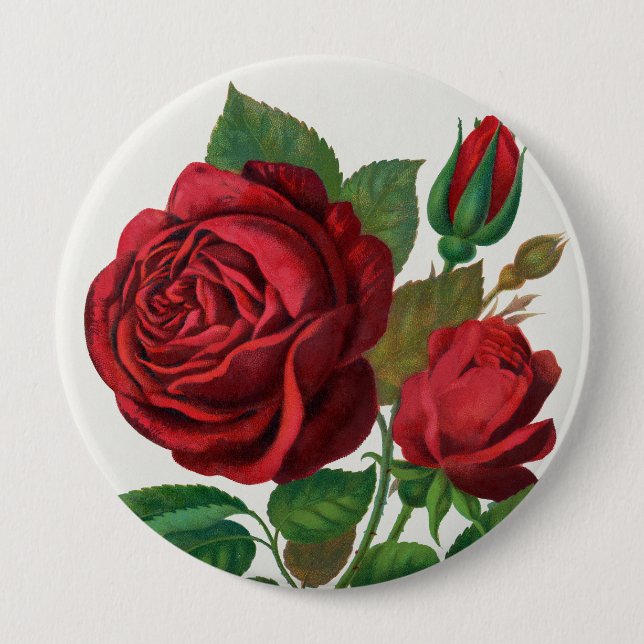 Rose Print Rochester Lithographing und Druckerei Button (Vorderseite)