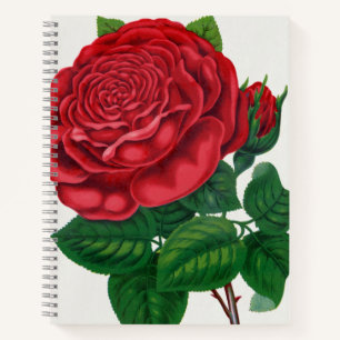 Rose Print Rochester Lithographing und Druckerei C Notizbuch