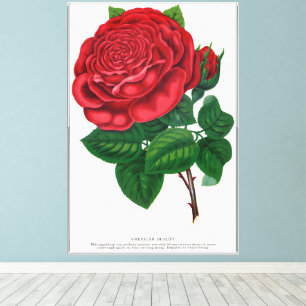 Rose Print Rochester Lithographing und Druckerei G Leinwanddruck
