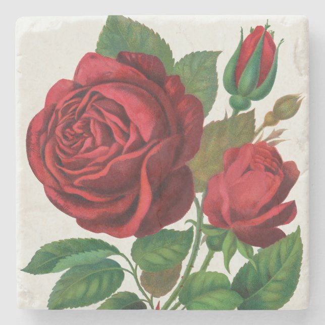 Rose Print Rochester Lithographing und Druckerei G Steinuntersetzer (Vorderseite)