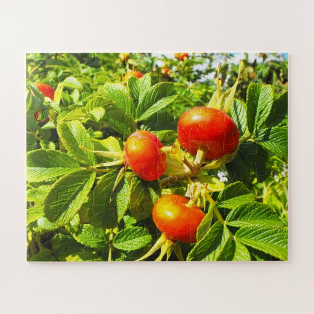 Rose Puzzle (Horizontal)
