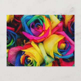 Rose Rainbow Postkarte