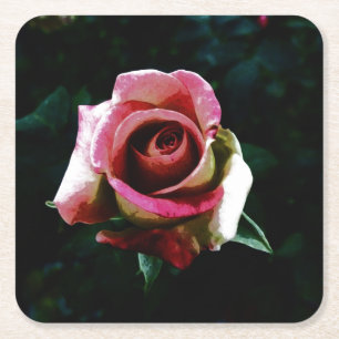 Rose Rechteckiger Pappuntersetzer