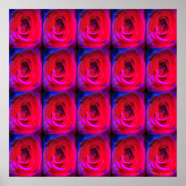 Rose Red Miami, Poster