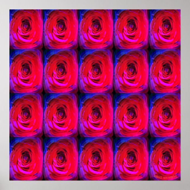 Rose Red Miami, Poster (Vorne)