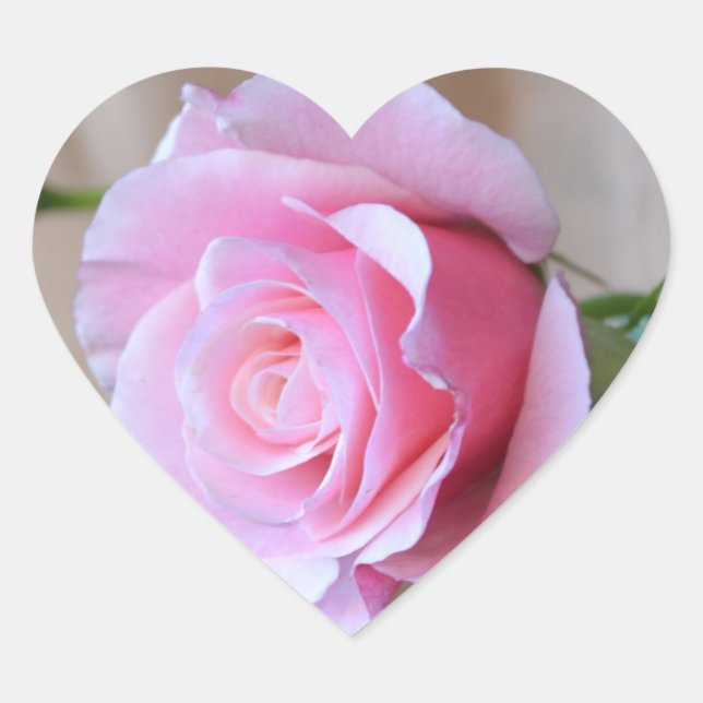 Rose Reverence Heart Stickers (Vorderseite)