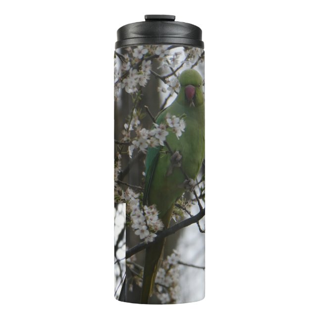 Rose-Ringelparaket in Blossom Tree Tumbler Thermosbecher (Vorderseite)
