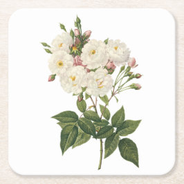 Rose Rosa noisettiana (Rosa noisettiana) von Redou Rechteckiger Pappuntersetzer