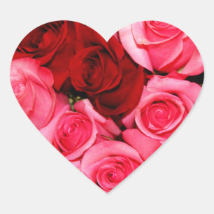 Rose, rosa und rot Herz-Aufkleber