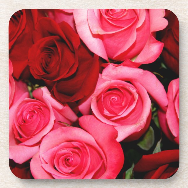 Rose, rosa und rot untersetzer (Vorderseite)