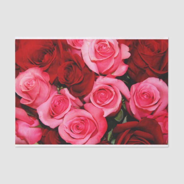 Rose, rosa und rotes Gewebpapier Seidenpapier (Vorderseite)