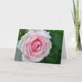 Rose (Rosa - > weiße Steigung) Karte