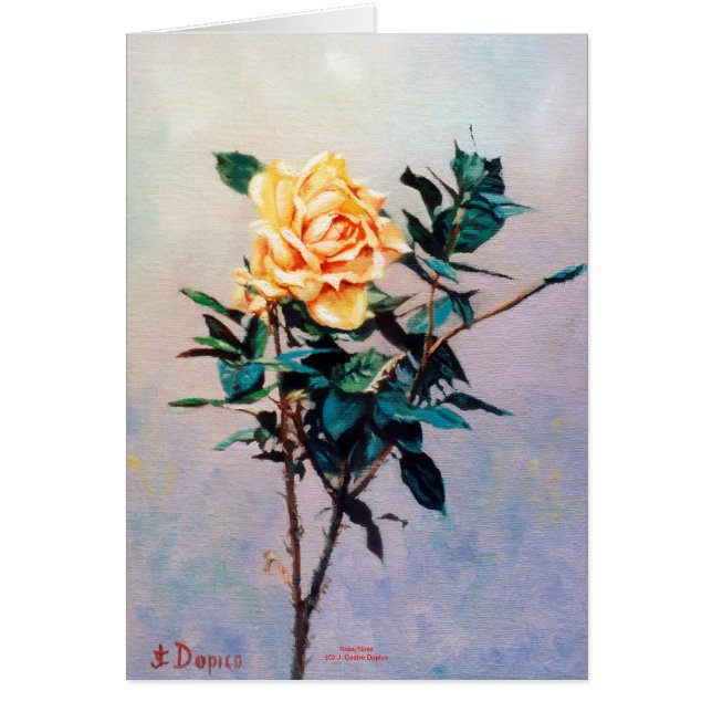 Rose/Rose (Vorne)