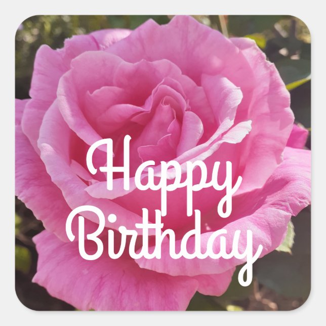 Rose Rose Rosa Blume Blumenstrauß Blume Quadratischer Aufkleber (Vorderseite)