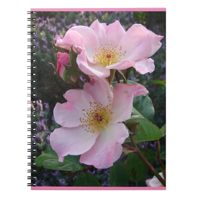 Rose Rose Rosa Vintage Blume Retro Notizblock (Vorderseite)