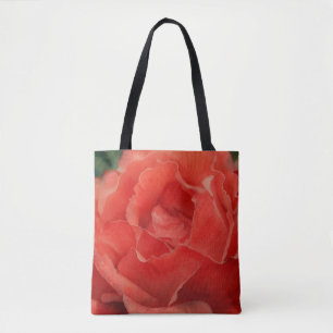 Rose Rote Koralle Blume Blumenblättern Kunst, Dich