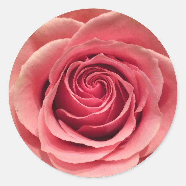 Rose rund Shape Stickers (Vorderseite)