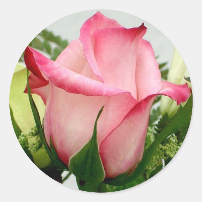 Rose Runder Aufkleber (Vorderseite)