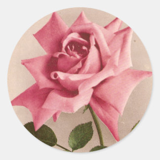 Rose Runder Aufkleber