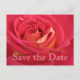 Rose Save the Date 60. Geburtstagsfeier - Ankündigungspostkarte