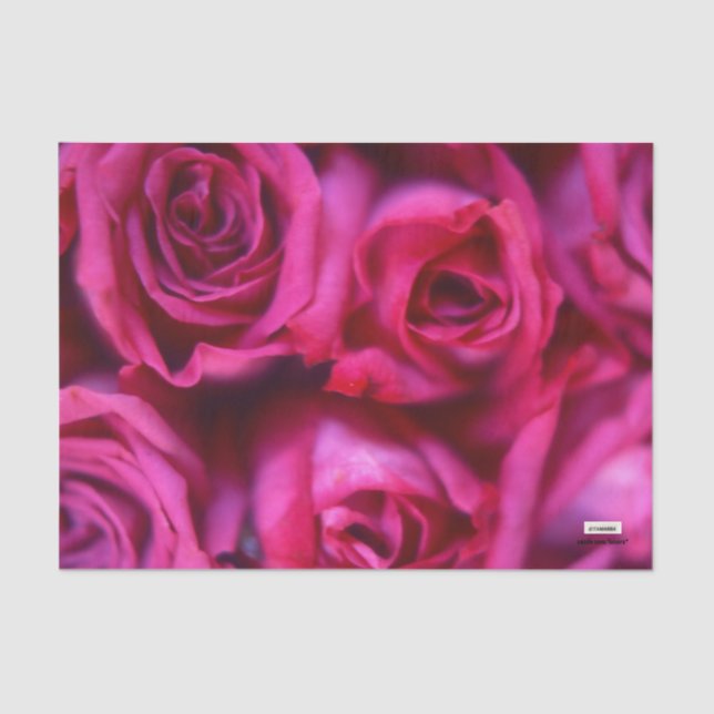 Rose Seidenpapier (Vorderseite)