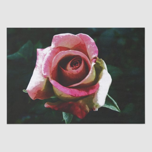 Rose Seidenpapier (Vorderseite)