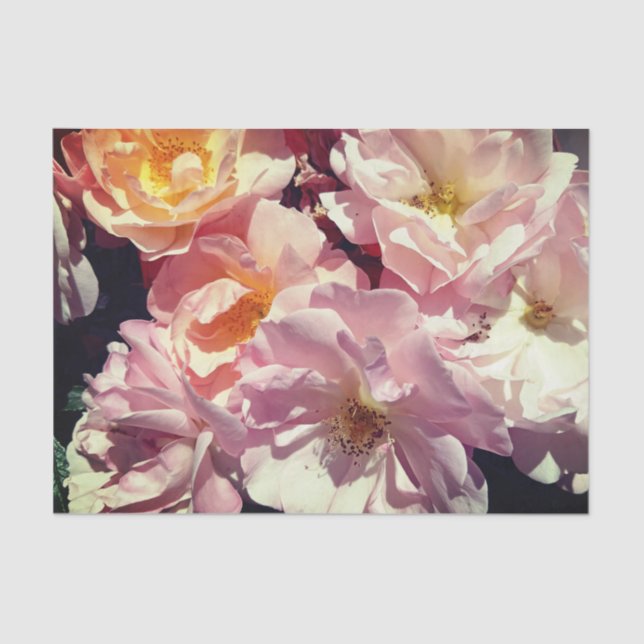 Rose Seidenpapier (Vorderseite)