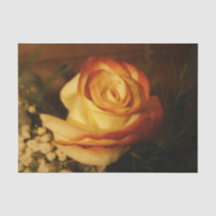 Rose Seidenpapier