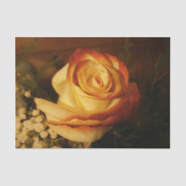 Rose Seidenpapier (Vorderseite)