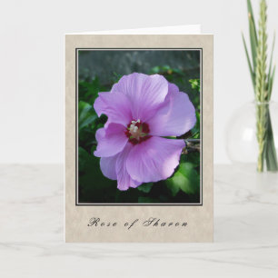 Rose Sharon - Blumenserie Karte