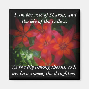 Rose Sharon Magnet