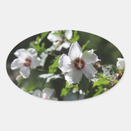 Rose Sharon Ovaler Aufkleber