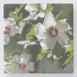 Rose Sharon Steinuntersetzer