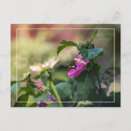 Rose Sharon und Besucher Postkarte