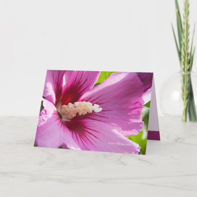 Rose Sharron Karte (Vorderseite)