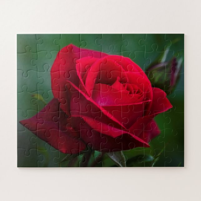 Rose sind 16"x20" einfach puzzle (Horizontal)