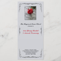 Rose sind das Rot-Musical-Erwägungsgrund-Programm