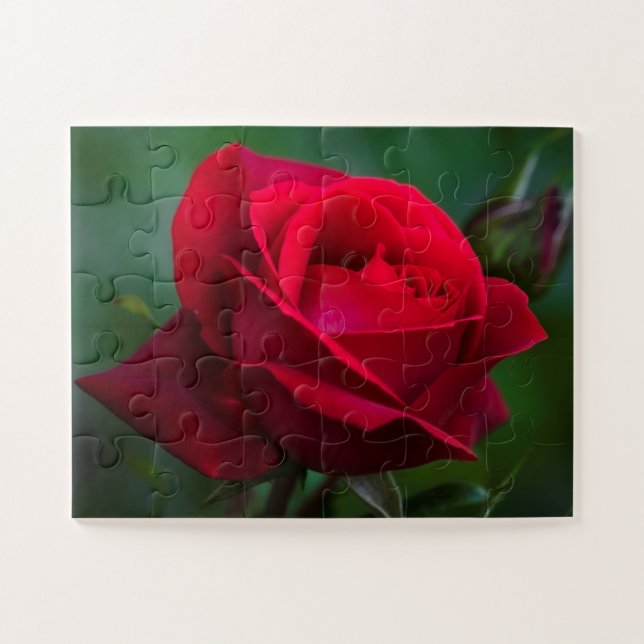 Rose sind rot 11"x14" einfach puzzle (Horizontal)