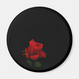Rose sind rot magnet