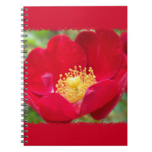 Rose sind rot Notebook Notizblock