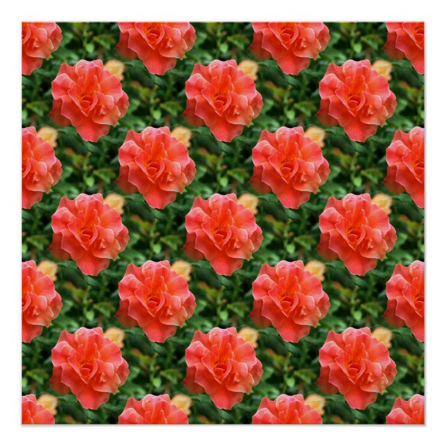 Rose sind rot... poster (Vorderseite)