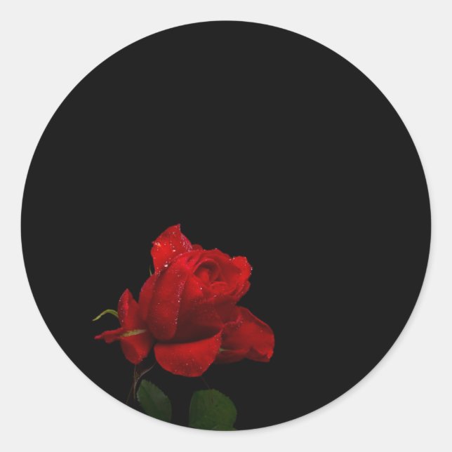 Rose sind rot runder aufkleber (Vorderseite)