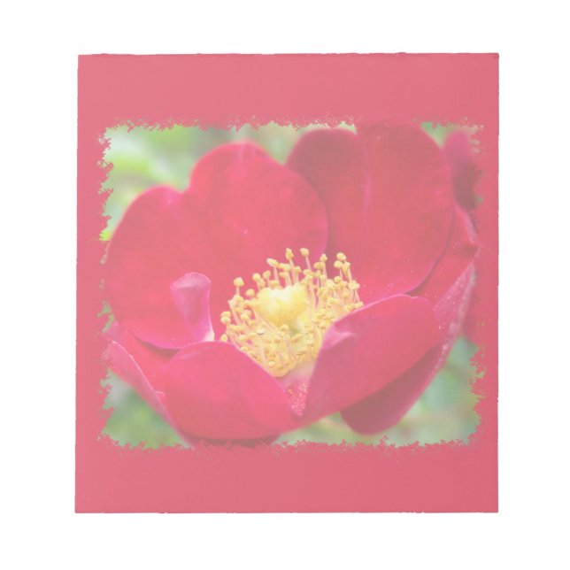 Rose sind roter Notepad Notizblock (Vorderseite)